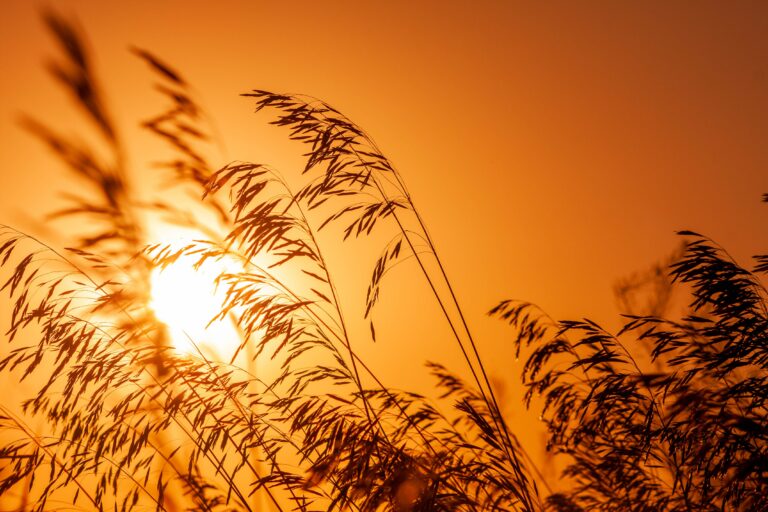 4 tips voor een spirituele boost