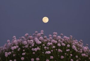 Wat kun je doen voor een overledene in de islam?