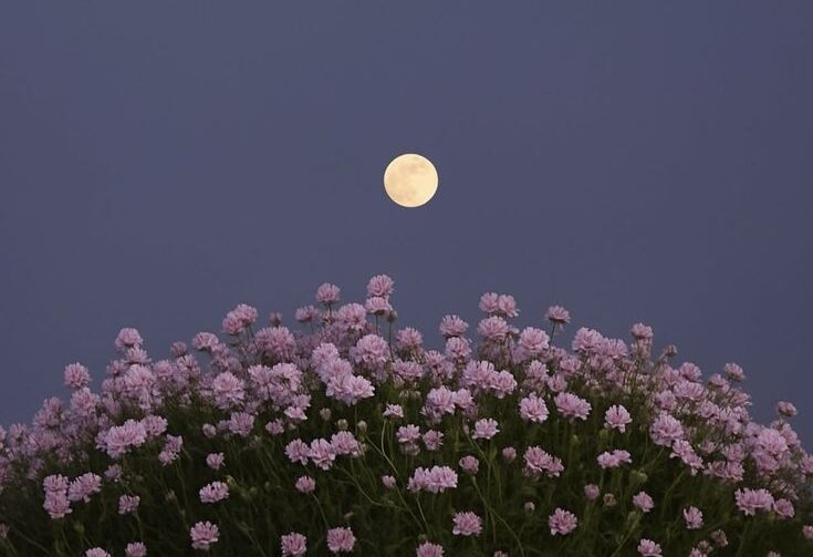 Wat kun je doen voor een overledene in de islam?